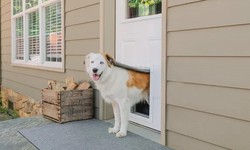 The Perfect Blend: French Doors and Dog Doors