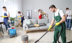 Carpet Care for the Clumsy: Spill-Proof Strategies for Accident-Prone Adults