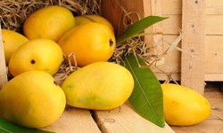 Why Kesar is The King of Mangoes?