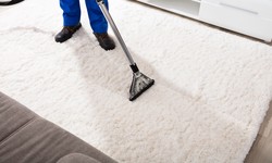 Revitalize Your Home: The Ultimate Guide to Upholstery and Area Rug Cleaning in Oakville