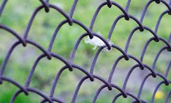 How to Customize Your Mesh Fence for Privacy