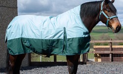 Essential Guide: Caring for and Washing Your 6ft Turnout Rug
