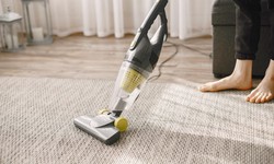 Enhancing Your Home with Professional Carpet Cleaning