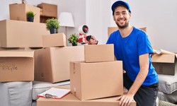 Finding the Perfect Packers and Movers in Jaipur for Your Move