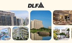 Discover DLF: Your Home Solution