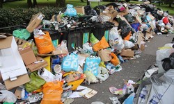 Ferntree Gully Gets a Clean Sweep: Introducing Top-Tier Rubbish Removal Assistance