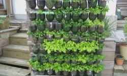 Sustainable Vertical Gardens: Repurposing PET Bottles for Green Living
