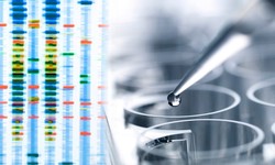 Unlocking the Potential of Precision Medicine: A Comprehensive Guide to Investing in Complete Genomics Stock