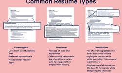 Unveiling the Art of Resumes: A Thorough Exploration of Resume Templates