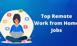 Top Work from Home Jobs