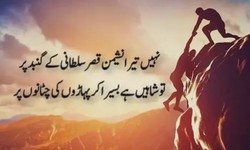 Harnessing the Power of Motivational Quotes in Urdu: A Path to Inspiration and Success
