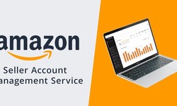 Profitable Partnerships: Professional Amazon Account Management
