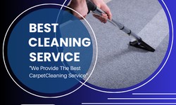 GS Murphy Carpet Cleaning: Elevating Cleanliness in Manly
