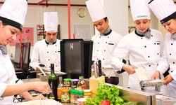 The Surging Popularity of Hotel Management Courses in Udaipur