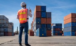 Custom Cargo: Logistics Service Providers