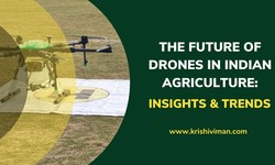 WHAT IS THE FUTURE OF DRONES IN INDIAN AGRICULTURE?