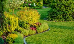 Getting Your Lawn Started Right