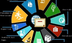 School erp software development company in lucknow