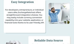 Release the Potential of APIs for Free Currency Exchange Rates
