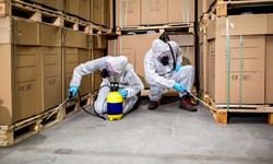 Commercial Pest Control in Michigan: Safeguarding Your Workplace and Businesses