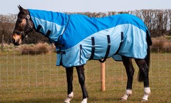 How Important is Turnout Rug Denier (Fabric Strength) for a Lightweight Option?