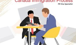 Canada visa expert