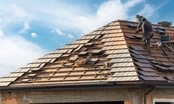 Unmatched Expertise: Ocala's Premier Roofing Contractors