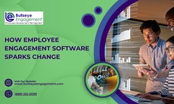 How Employee Engagement Software Sparks Change