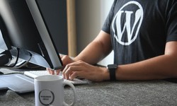 Trends in WordPress Web Development for 2024