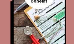 Unlocking Benefits: Super Visa Medical Insurance Guide