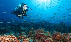Dive into Adventure: The Best Spots for Scuba Diving in Spain