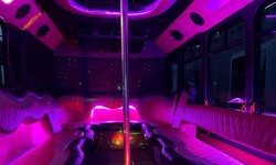 Austin Adventures: Party Venues and Tours with Austin Party Bus