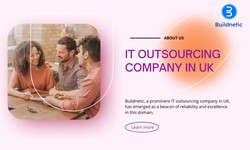 Buildnetic E-Learning Solutions: Innovating Education Online