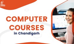 A Guide to Computer Courses