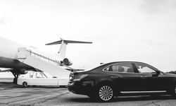 Airport Transportation Services in Tampa