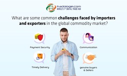What Are Some Common Challenges Faced by Importers and Exporters in the Global Commodity Market?