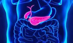 Stomach Cancer Awareness: Understanding the Risks and Symptoms