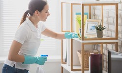 Proactive Cleaning: Maintaining a Tidy Home with Regular Services in Roanoke, VA