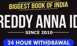 Inside the Pages: The Powerful Narrative of Reddy Anna's Book