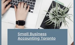 Benefits of Small Business Accounting in Toronto