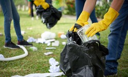 Expert Advice: Effective Green Waste Removal Tips for Your Backyard