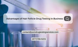 The Strategic Advantages of Hair Follicle Drug Testing in Business Operations