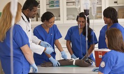 Accelerate Your Future: Nursing Programs Designed for Florida Residents