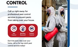 5 Genius Pest Control Hacks Every Perth Homeowner Needs to Know!