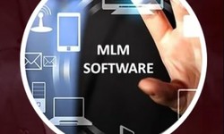 Binary MLM Software Demo in The World of Business