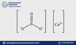 Calcium sulfite Price Chart, Historical and Forecast Analysis | Procurement Resource