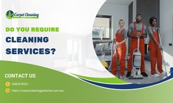What You Need to Know About Gisborne Upholstery Cleaning