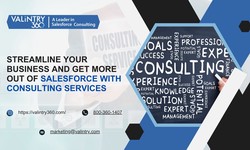 Streamline Your Business and Get More Out of Salesforce with Consulting Services