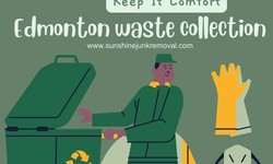 Engage professional garbage collection services to keep your environment clean