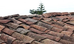 What Are the Most Common Roof Repairs?